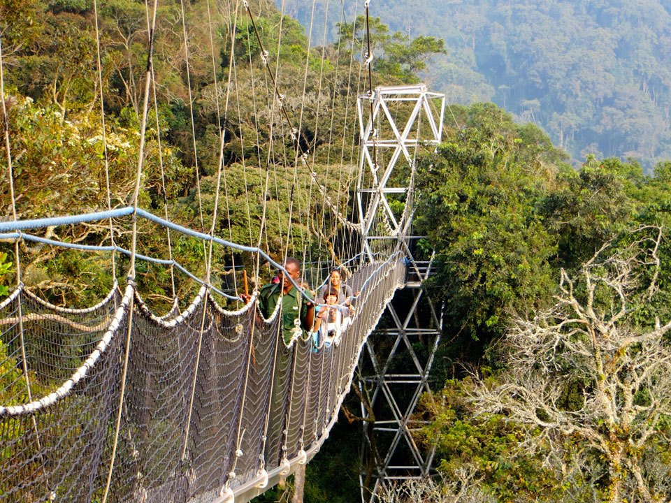 8 Days Rwanda Safari & Primates